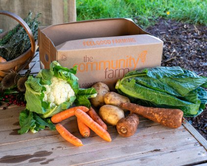 Local Farm Box - Fruit and Veg Box Delivery - North Devon