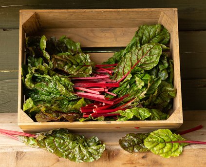 Chard - Ruby