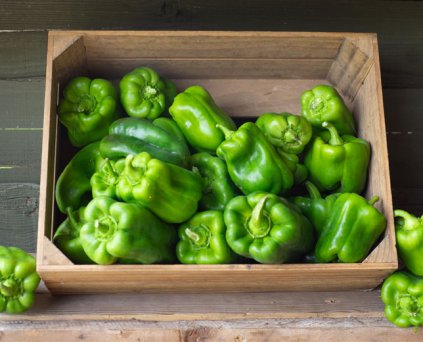 Pepper - Green Bell