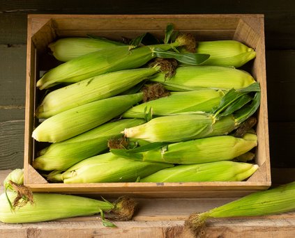 Sweetcorn