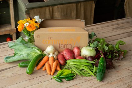 Veg No Plastic