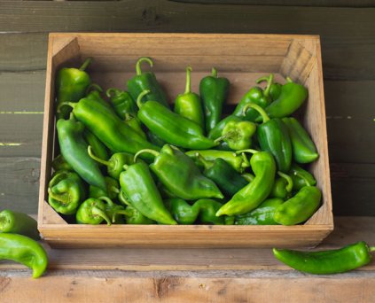 Pepper - Green Ramiro
