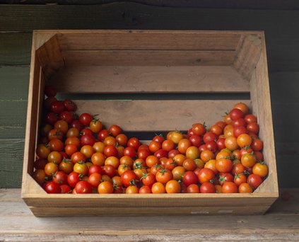 Tomato - Cherry