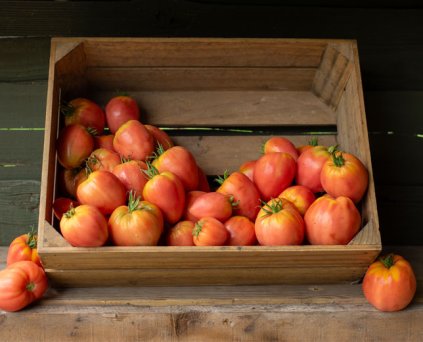 Tomatoes - Large