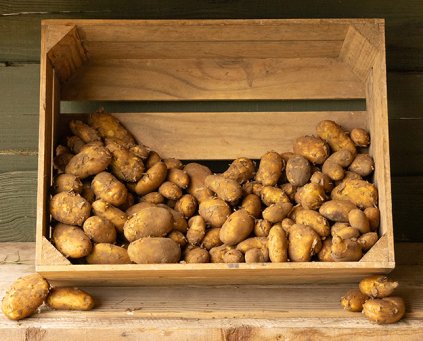 Potatoes - New