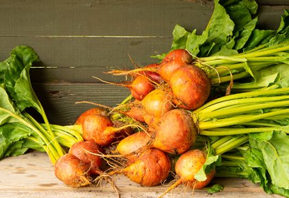Beetroot - Golden