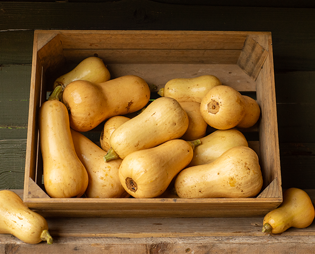 All about butternut squash: A beginner's guide - Rhubarbarians