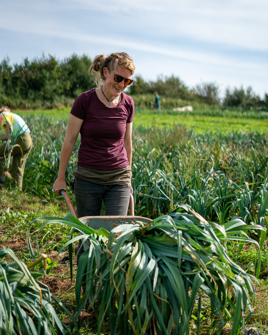 Autumn Community Farmer Day