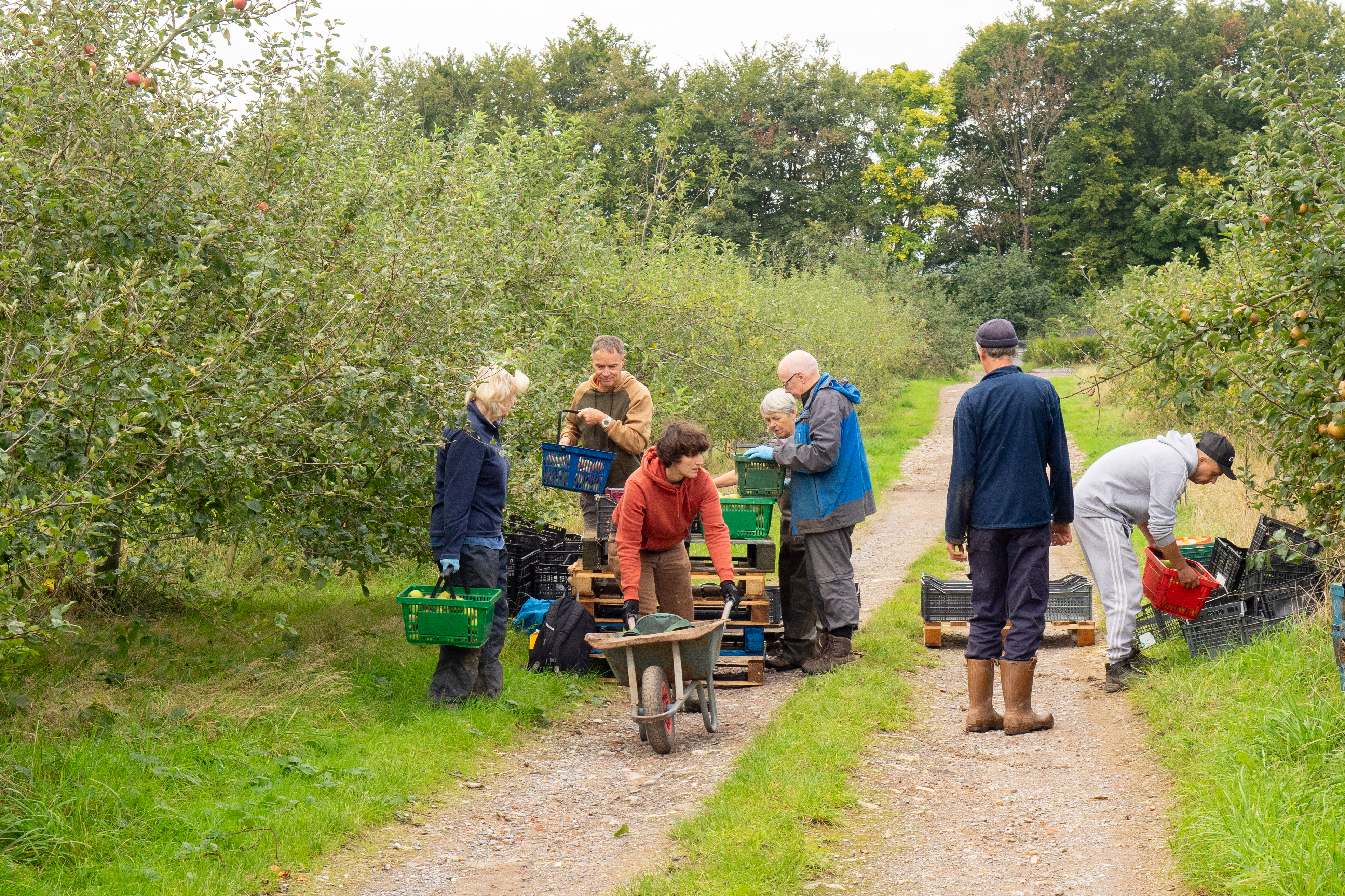 Autumn Community Farmer Day
